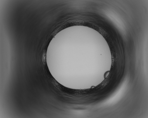 X0000097480190200802220828