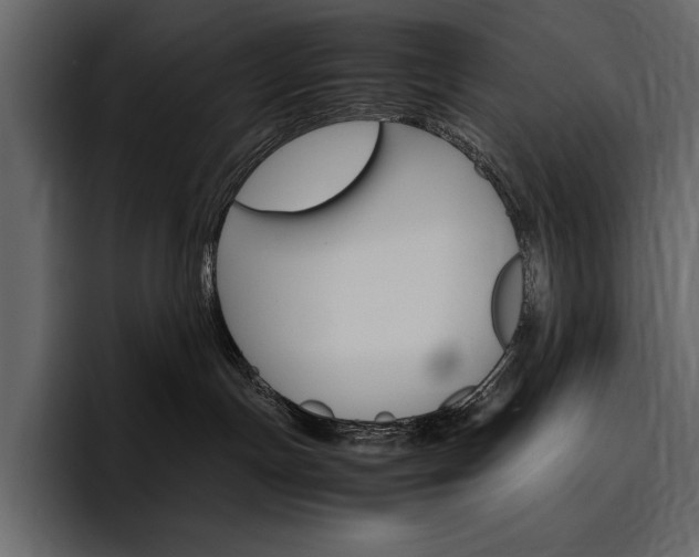 X0000097480191200802220828