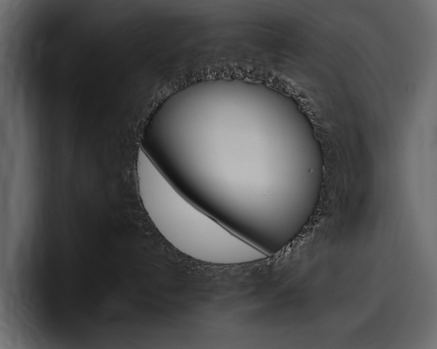 X0000097480192200802220828
