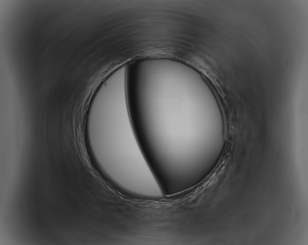 X0000097480193200802220827