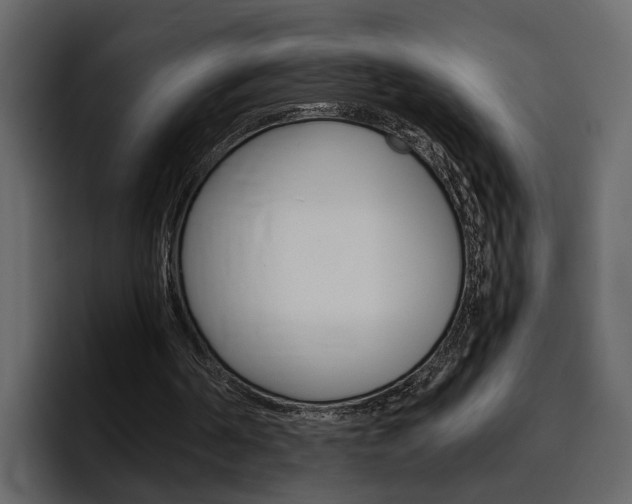 X0000097480194200802220827