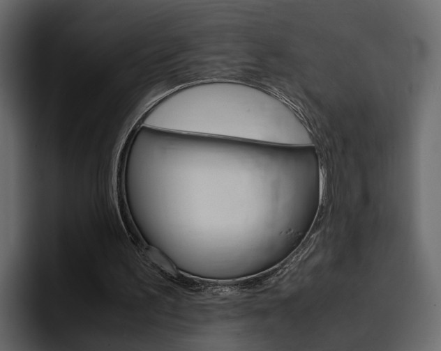 X0000097480195200802220827
