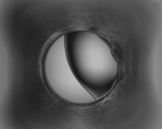 X0000097480197200802220827