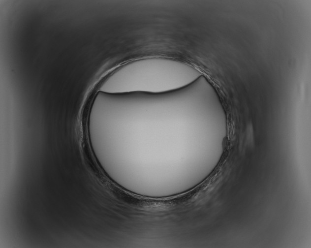 X0000097480198200802220827