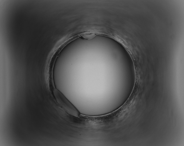 X0000097480199200802220827