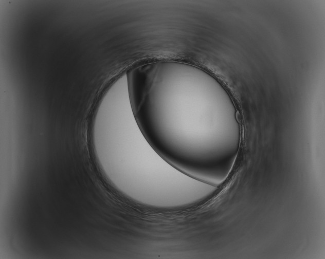 X0000097480201200802220827