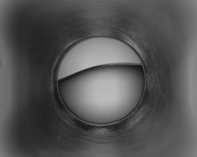X0000097480203200802220827