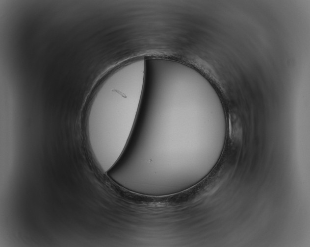 X0000097480204200802220827