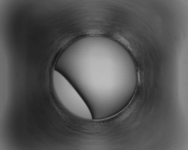 X0000097480205200802220827