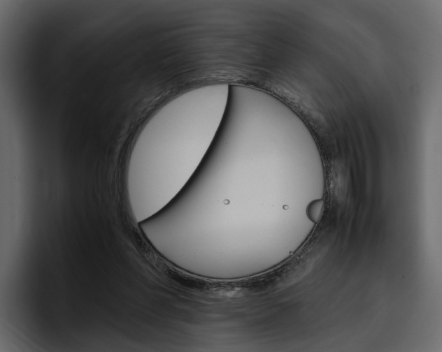 X0000097480206200802220827