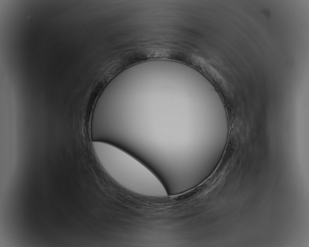 X0000097480209200802220827