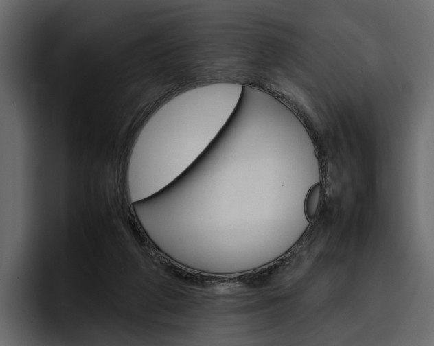 X0000097480210200802220827