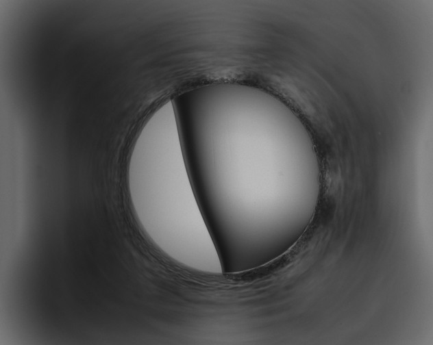 X0000097480211200802220827