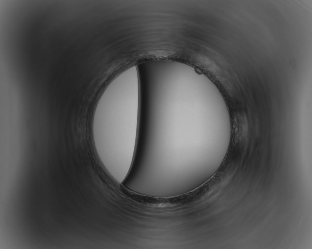 X0000097480212200802220827