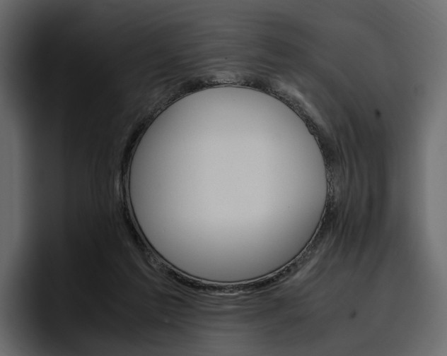 X0000097480213200802220827