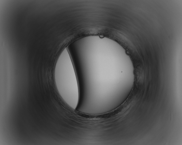 X0000097480216200802220827