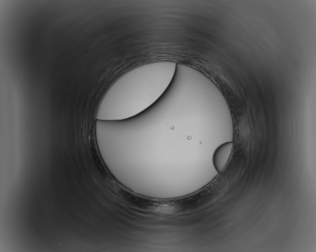X0000097480218200802220827