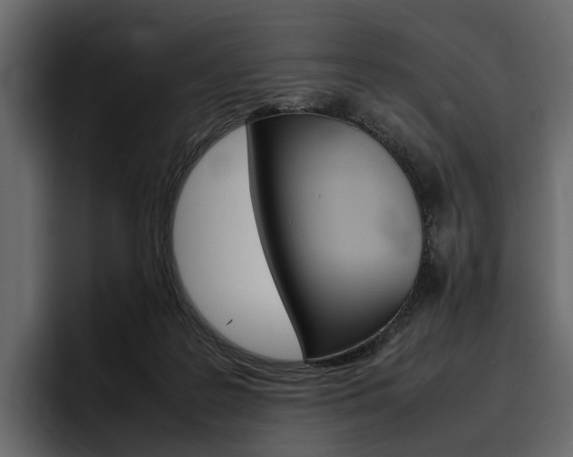 X0000097480219200802220827