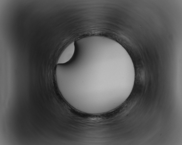 X0000097480220200802220827