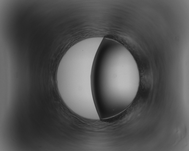 X0000097480221200802220827