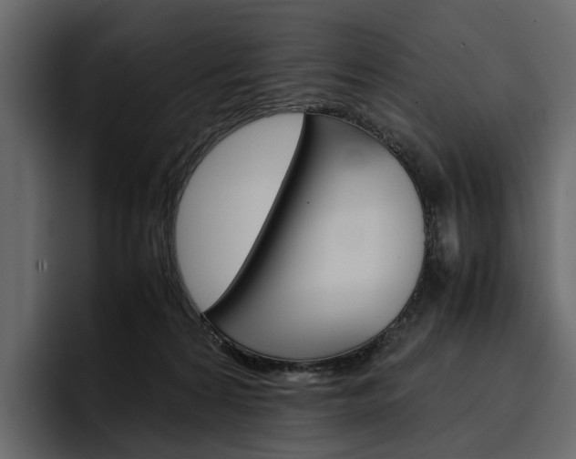 X0000097480224200802220827