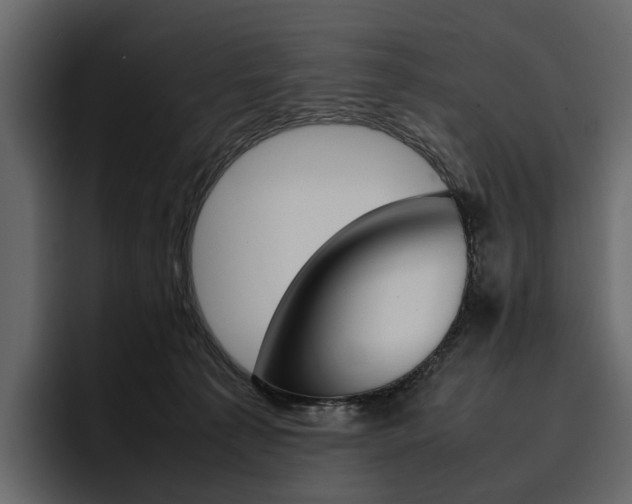 X0000097480225200802220827
