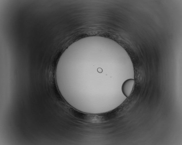 X0000097480226200802220827