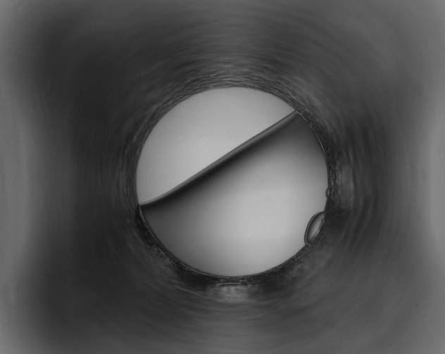 X0000097480228200802220827