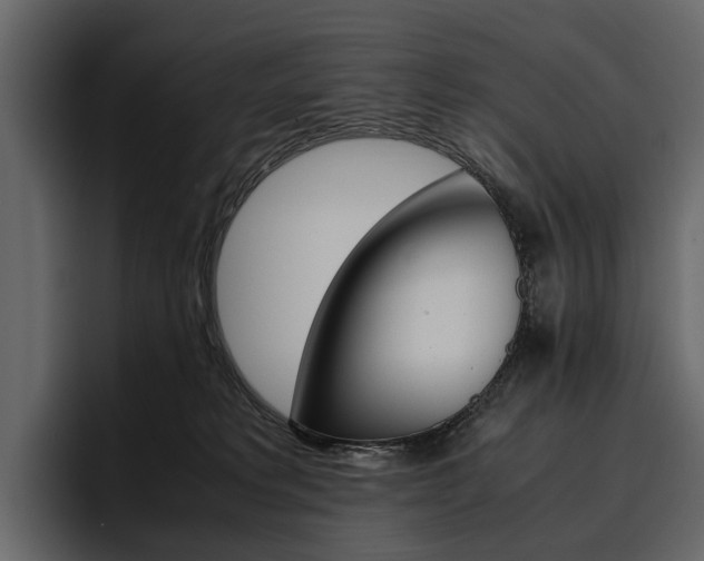 X0000097480229200802220827