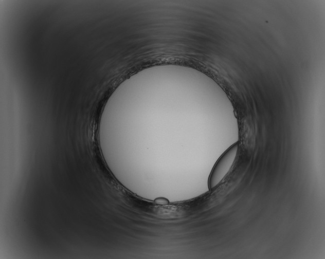 X0000097480230200802220827