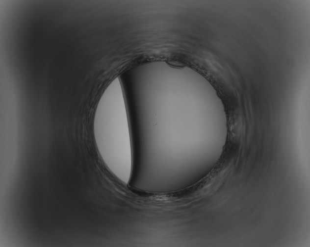 X0000097480231200802220827