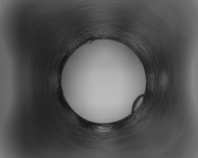 X0000097480232200802220827