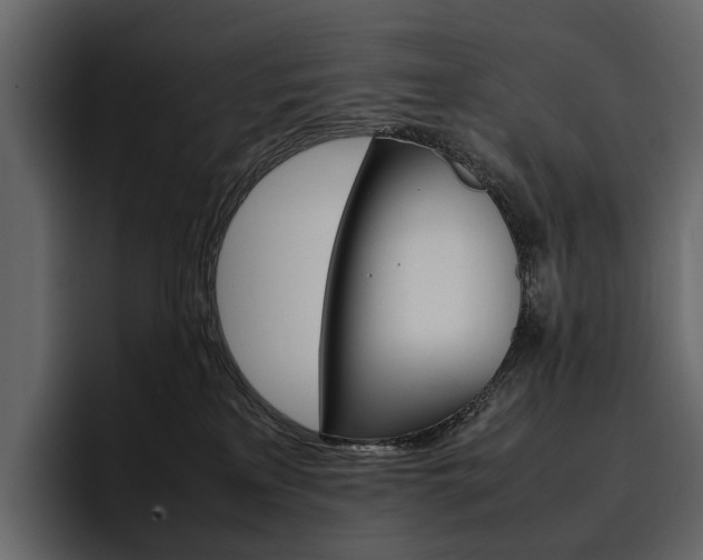 X0000097480233200802220827