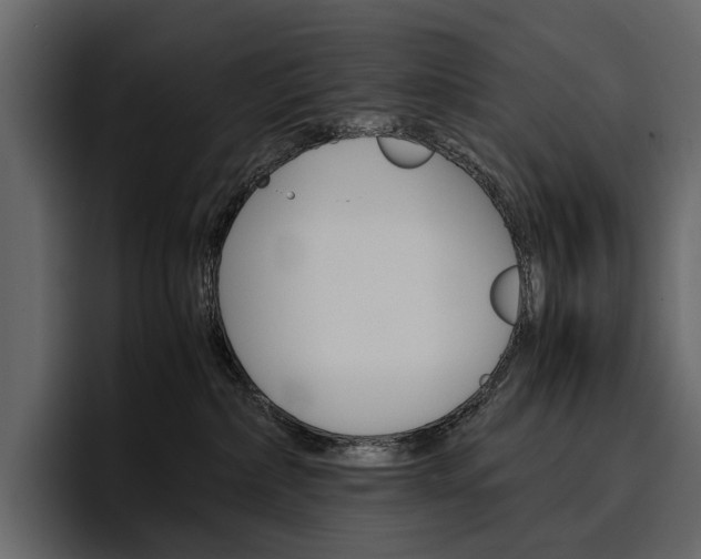 X0000097480236200802220827
