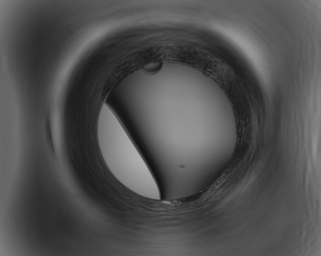 X0000097480239200802220827