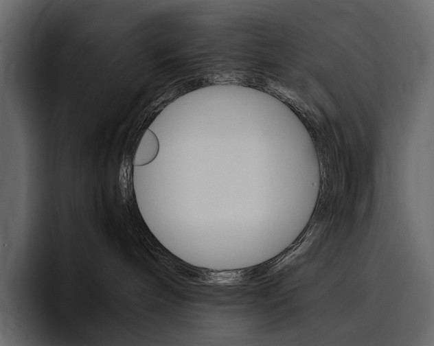 X0000097480240200802220827