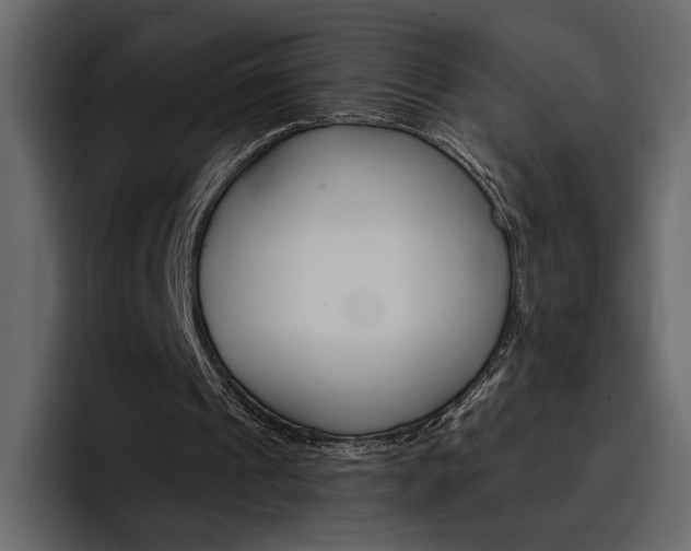 X0000097480241200802220826