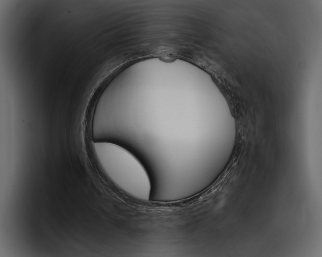 X0000097480242200802220826
