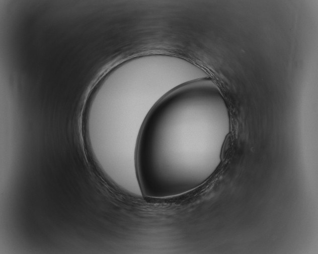 X0000097480244200802220826
