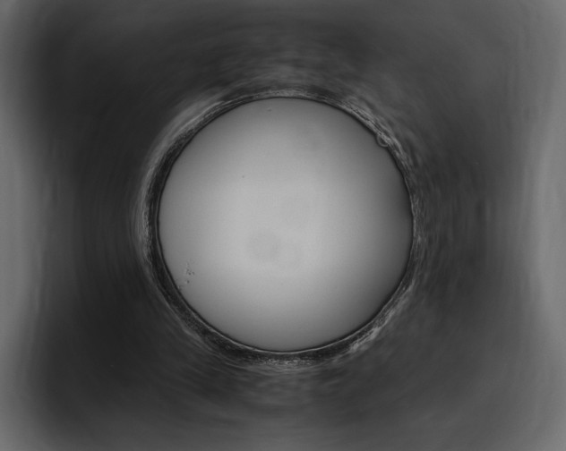 X0000097480245200802220826