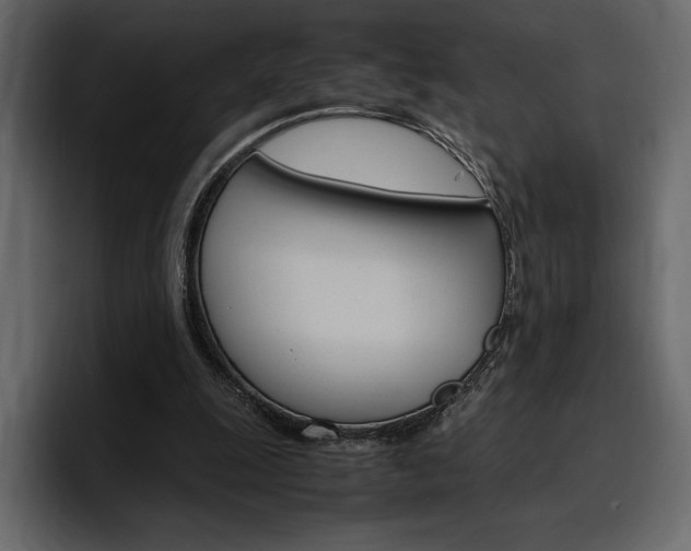 X0000097480247200802220826