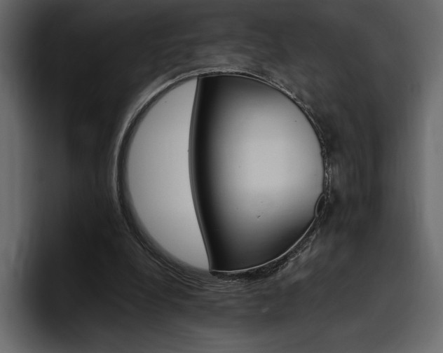 X0000097480248200802220826