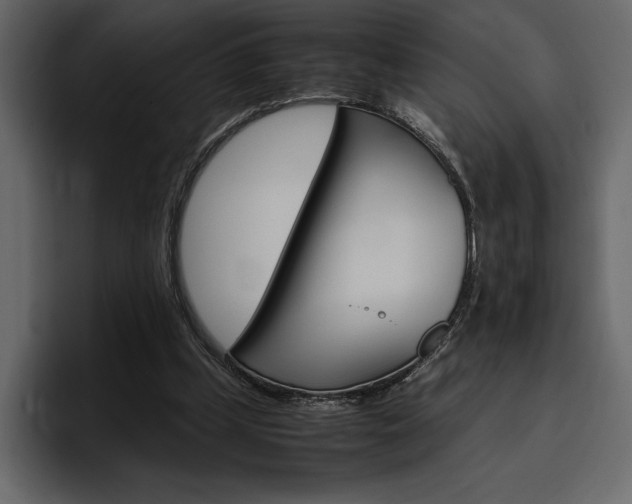 X0000097480249200802220826