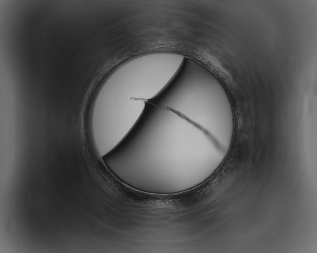 X0000097480250200802220826