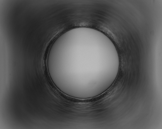 X0000097480251200802220826