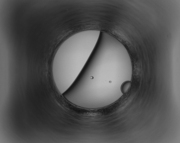 X0000097480255200802220826