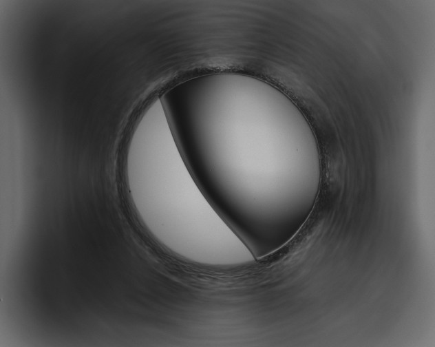 X0000097480256200802220826