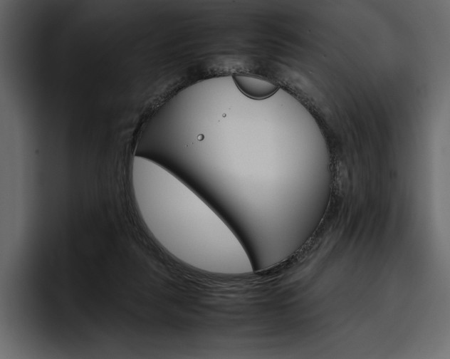 X0000097480259200802220826