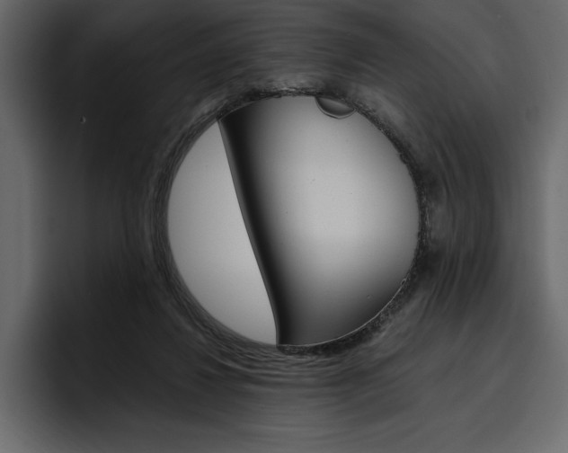X0000097480260200802220826