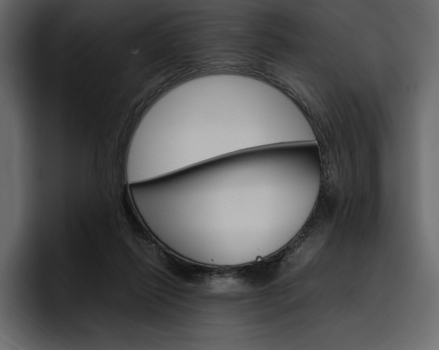 X0000097480262200802220826